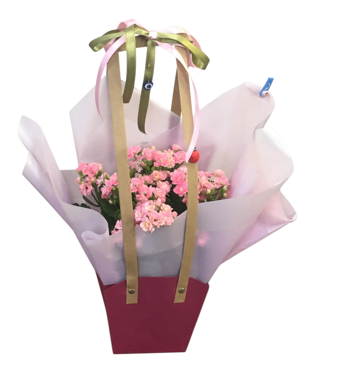 Kalanchoe Aranjman